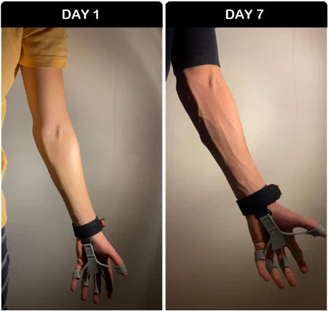 Gripster Hand Grip Strengthener